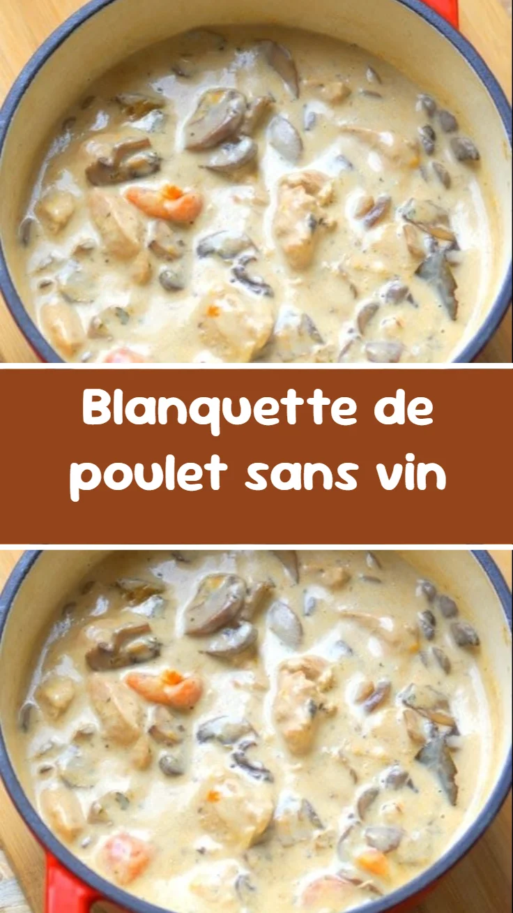 Blanquette de poulet sans vin 2 blanquette de poulet sans vin 2026 07 05 042240