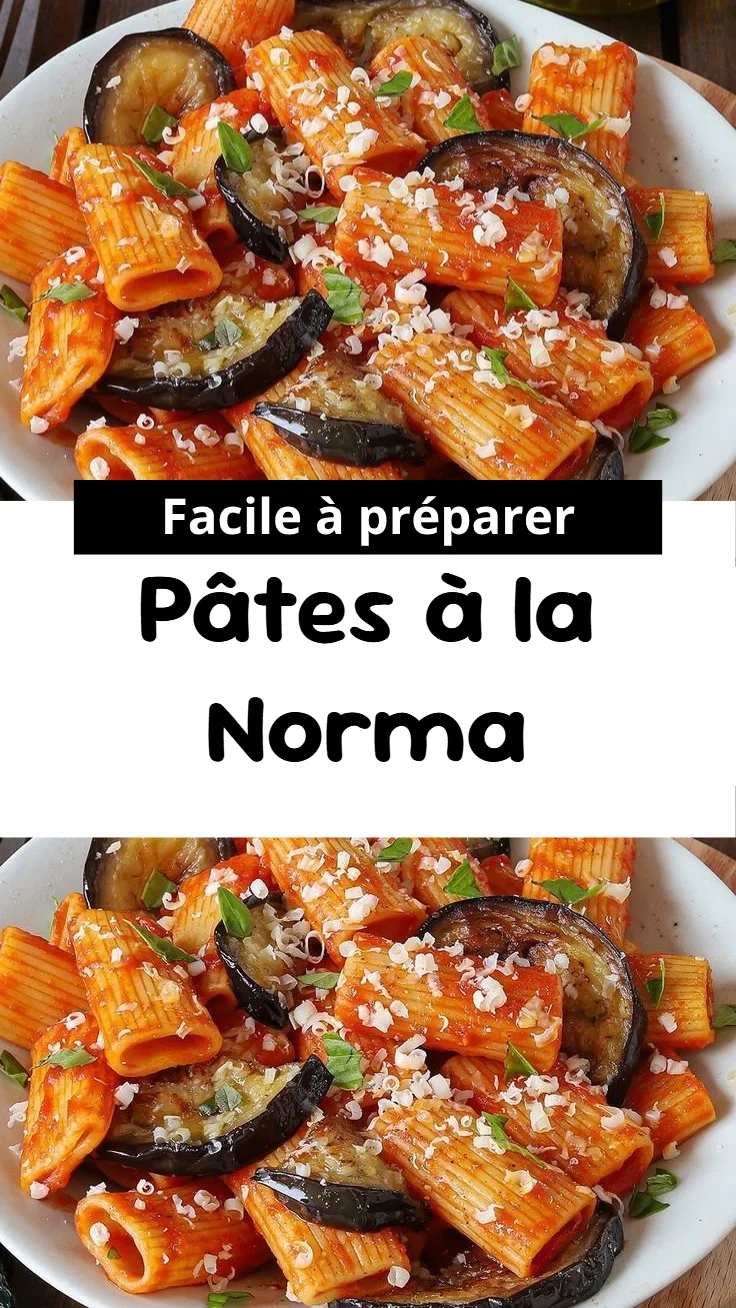 pates a la norma 2026 07 05 042327